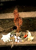 Mon  bouquet - afromumum (rouge); helickysum manin (jaune);  goatwid (rouge);...
